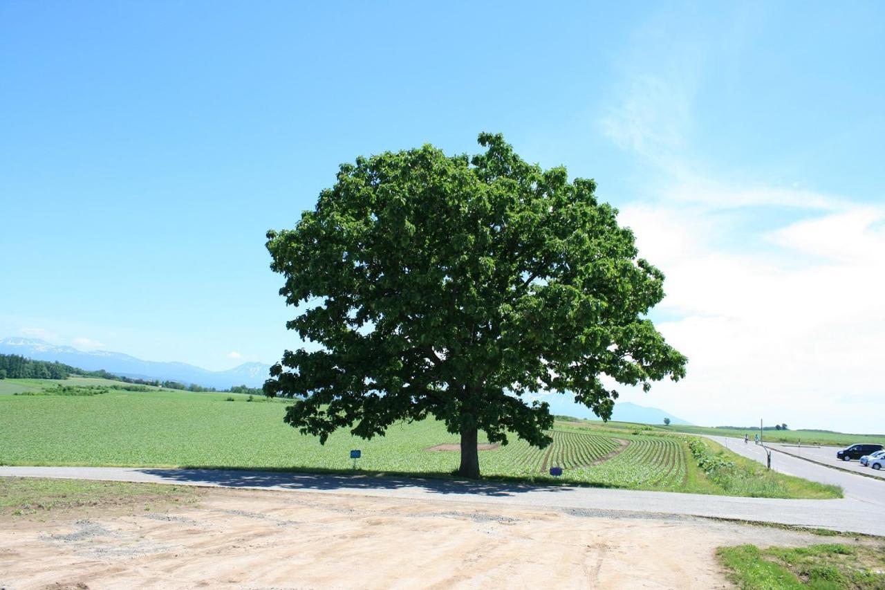 Stay In 末広 Asahikawa Nagajamacsó Kültér fotó